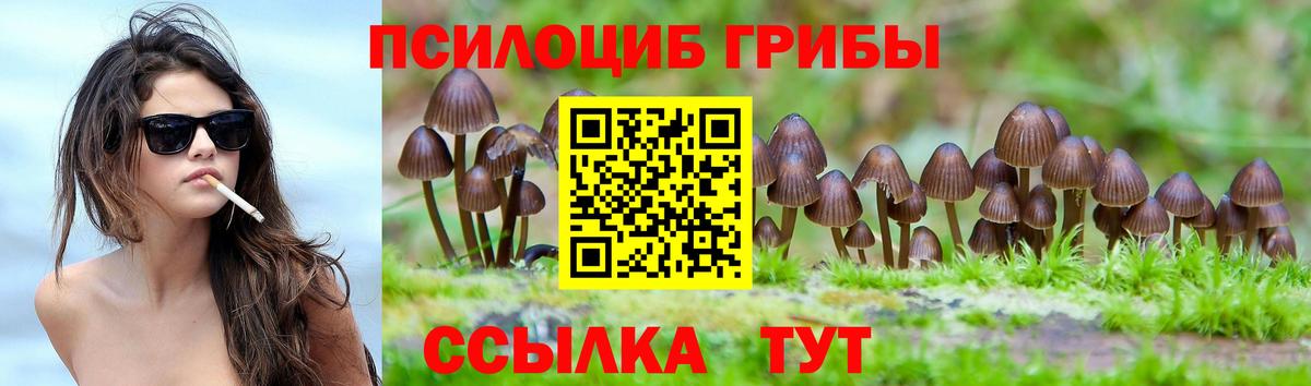 Псилоцибиновые грибы Cubensis  Вход с VPN  Галлюциногенные грибы Psilocybine cubensis  что такое   Елабуга 